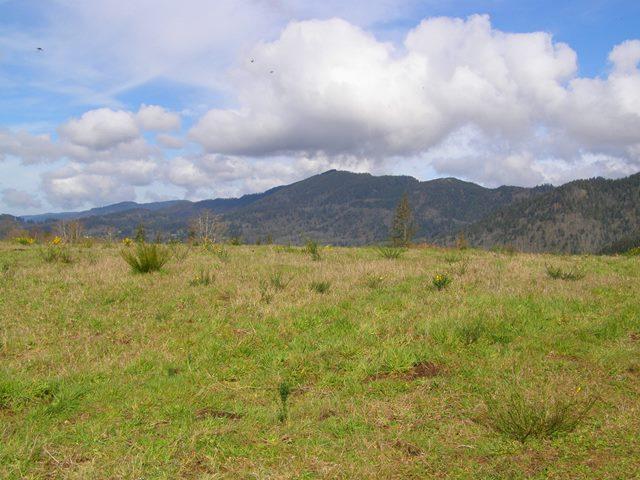 23 Skyview Road Tillamook, OR 97141 - Photo 37 of 41 P3180339