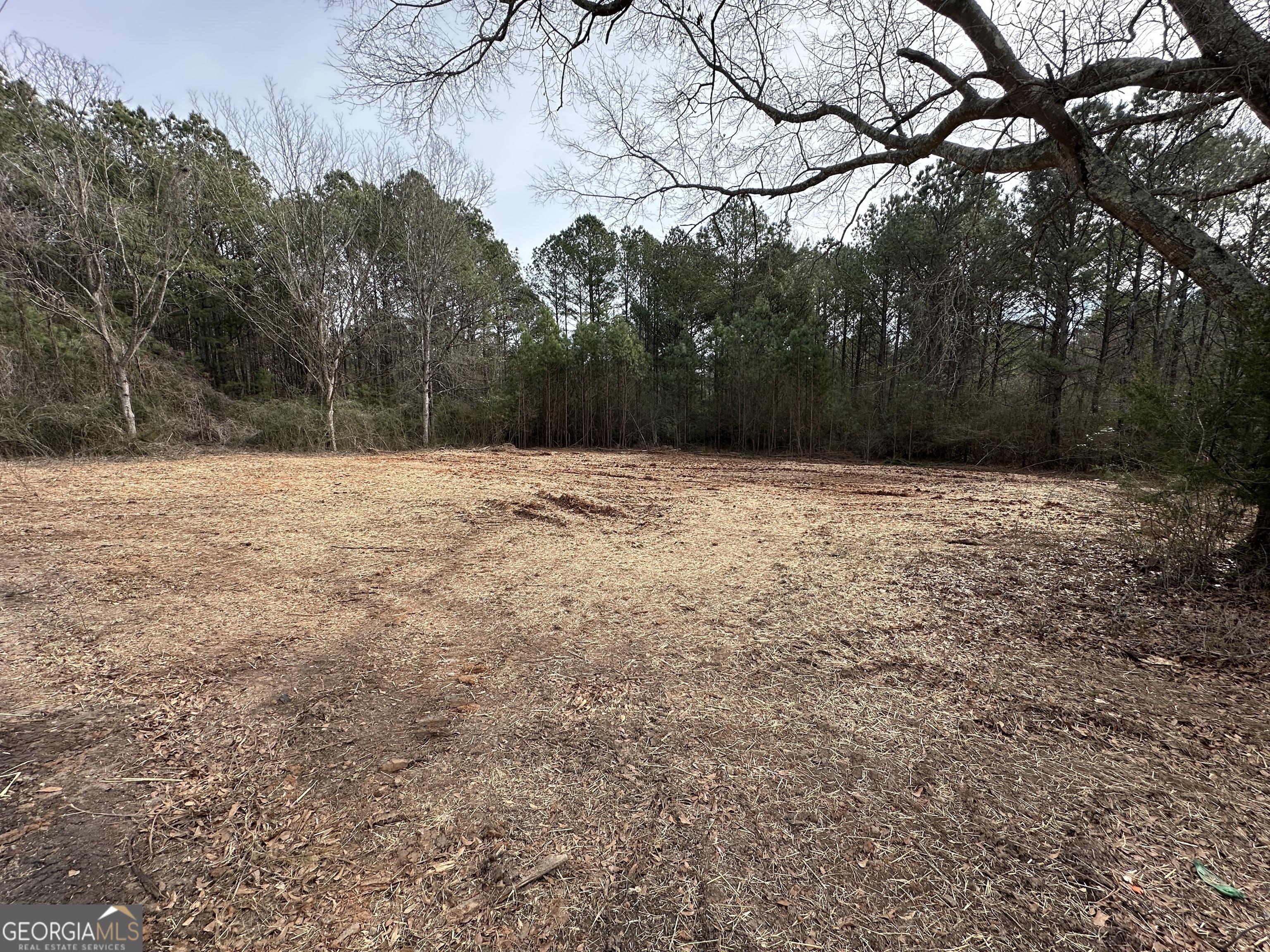 0 Victory Road, Unit LOT 1 Franklin, GA 30217 - Photo 3 of 4