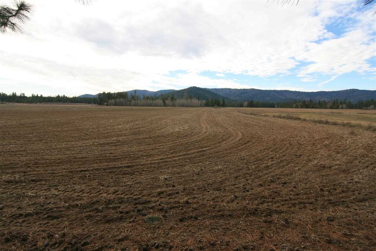 Tbd Williams Valley Road Clayton, WA 99110 - Photo 2 of 20
