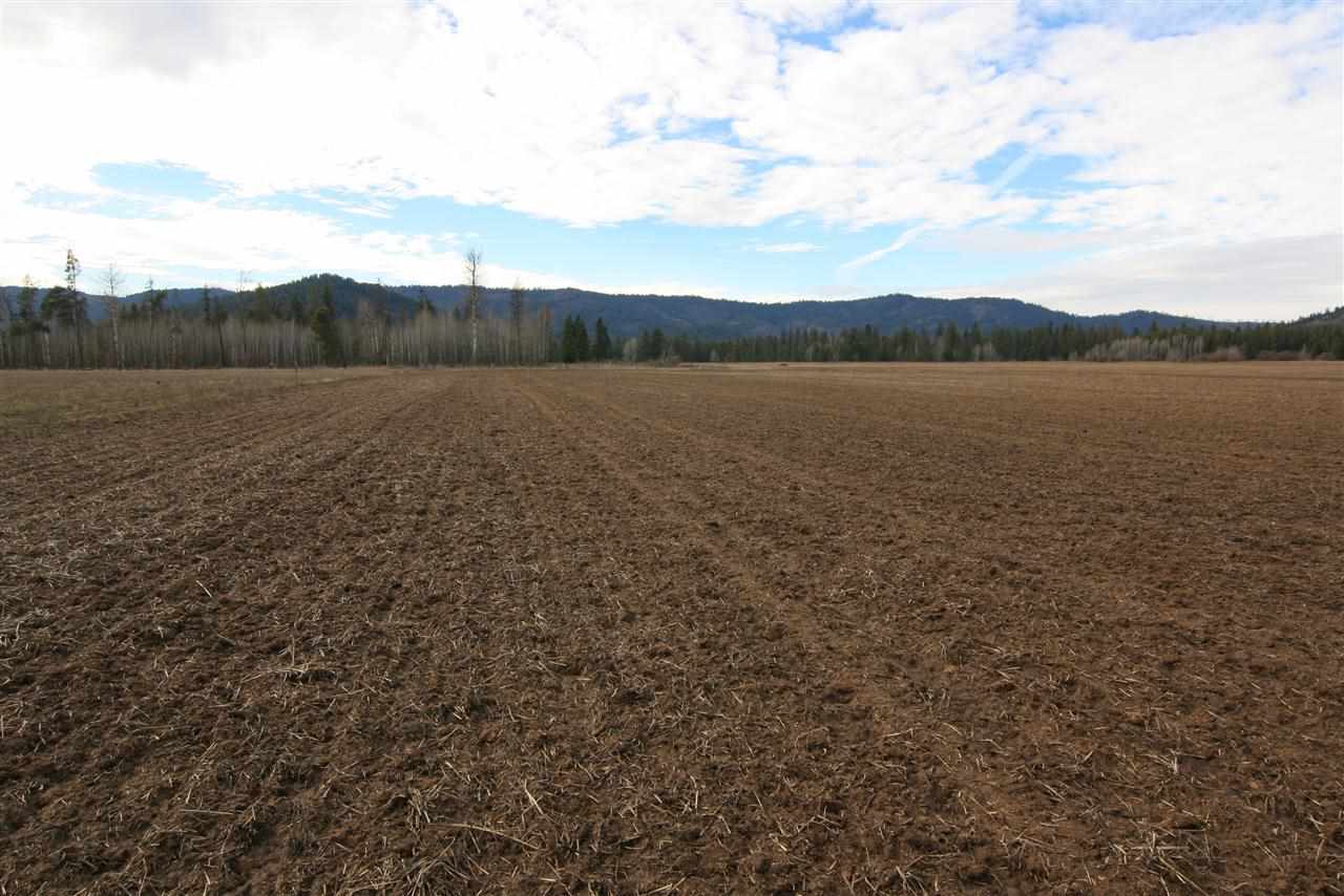 Tbd Williams Valley Road Clayton, WA 99110 - Photo 15 of 20