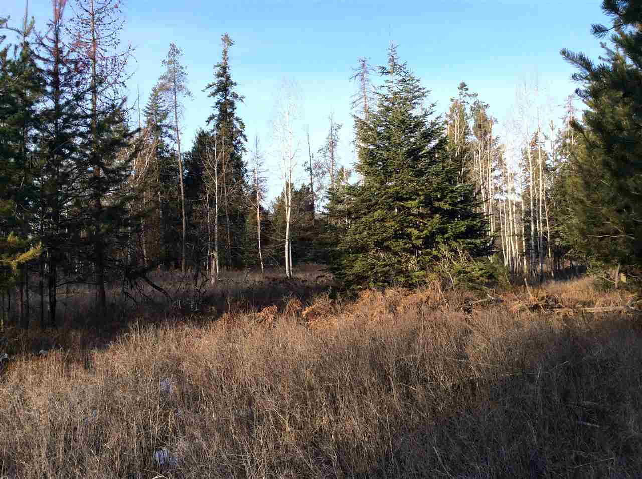 Tbd Williams Valley Road Clayton, WA 99110 - Photo 16 of 20