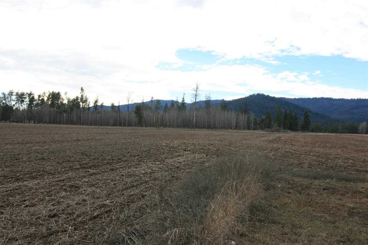 Tbd Williams Valley Road Clayton, WA 99110 - Photo 19 of 20