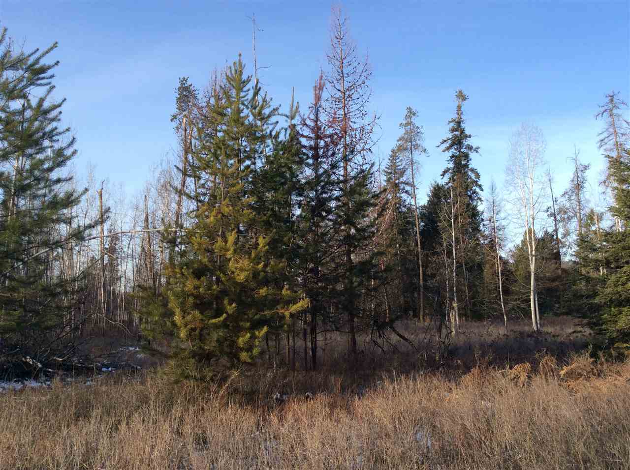 Tbd Williams Valley Road Clayton, WA 99110 - Photo 20 of 20