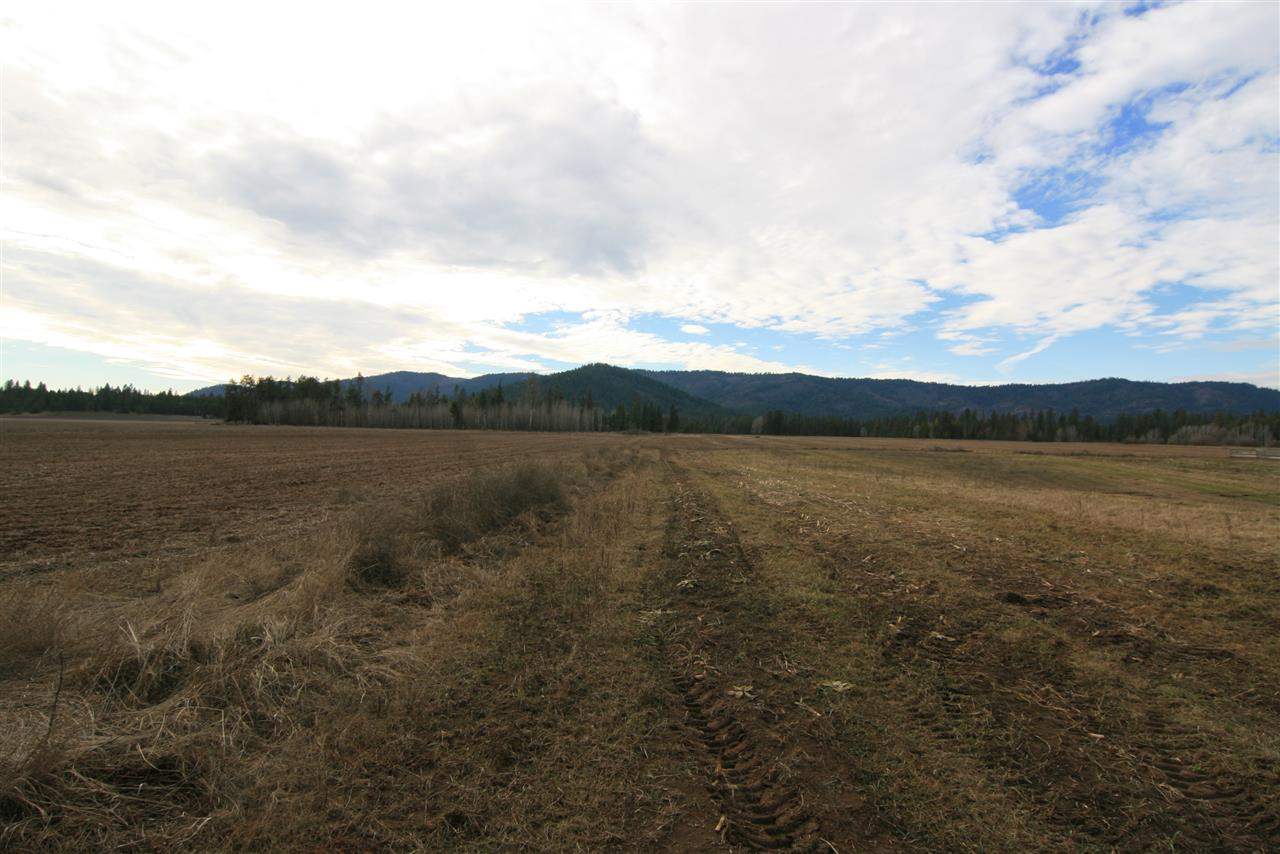 Tbd Williams Valley Road Clayton, WA 99110 - Photo 6 of 20