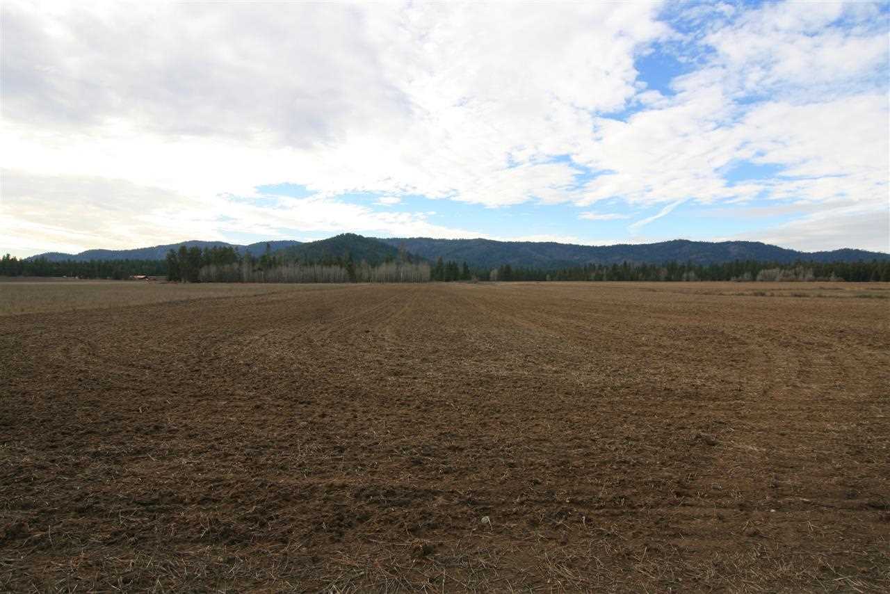Tbd Williams Valley Road Clayton, WA 99110 - Photo 7 of 20