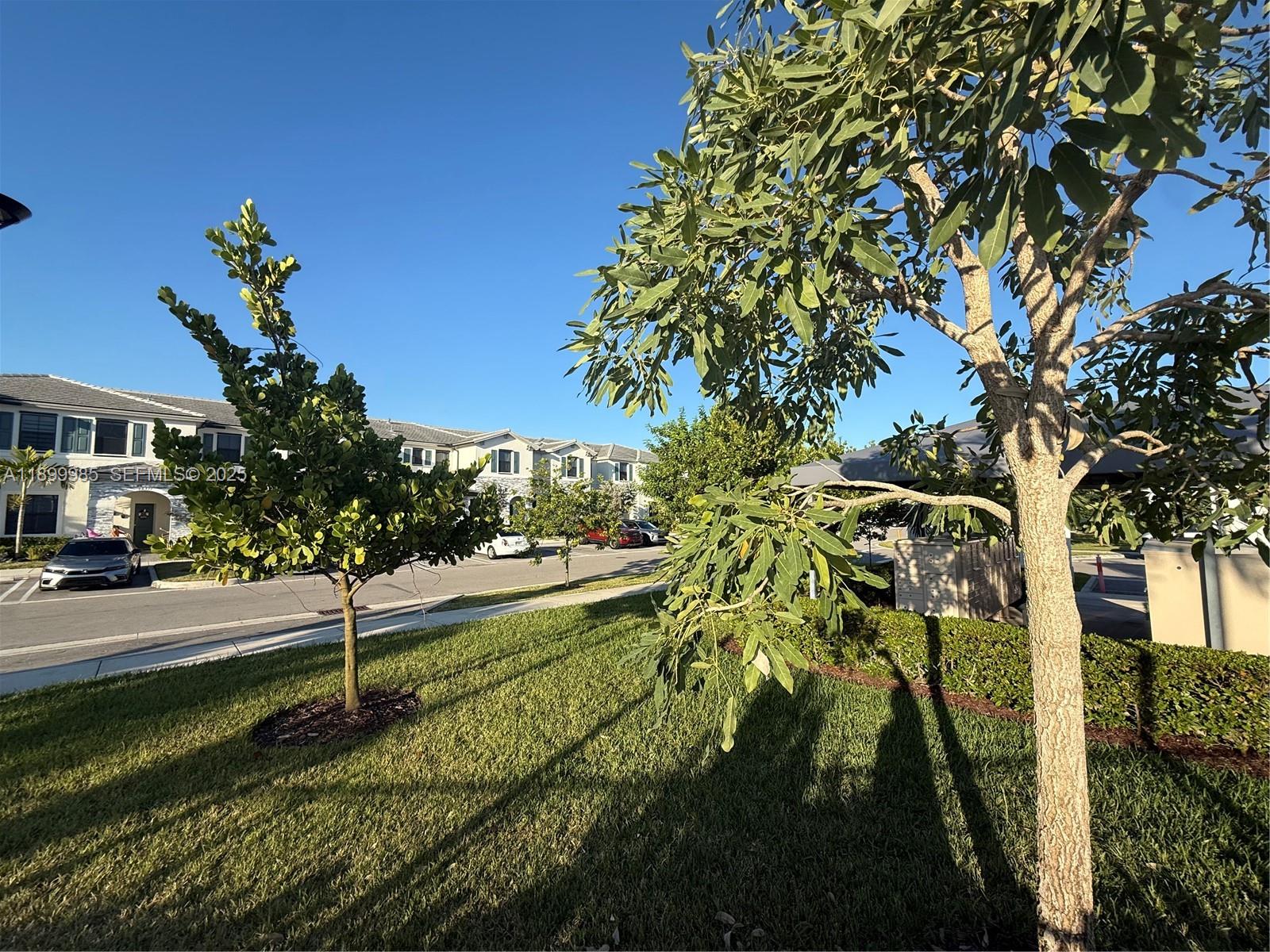 13322 Southwest 287th Terrace Homestead, FL 33033 - Photo 8 of 9 a view of a yard with plants and trees
