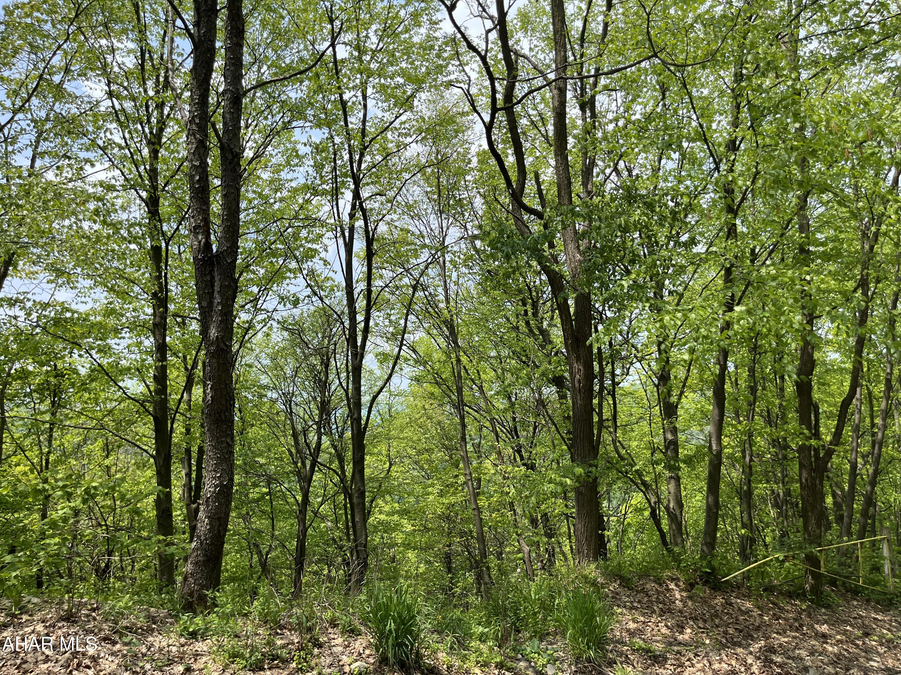 0 Ridge Run Road Claysburg, PA 16625 - Photo 8 of 24