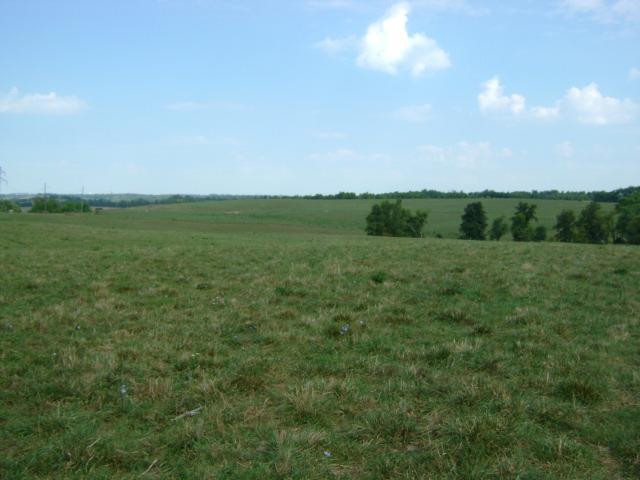 1156 Knob Lick Road Stanford, KY 40484 - Photo 3 of 11 Photo 3