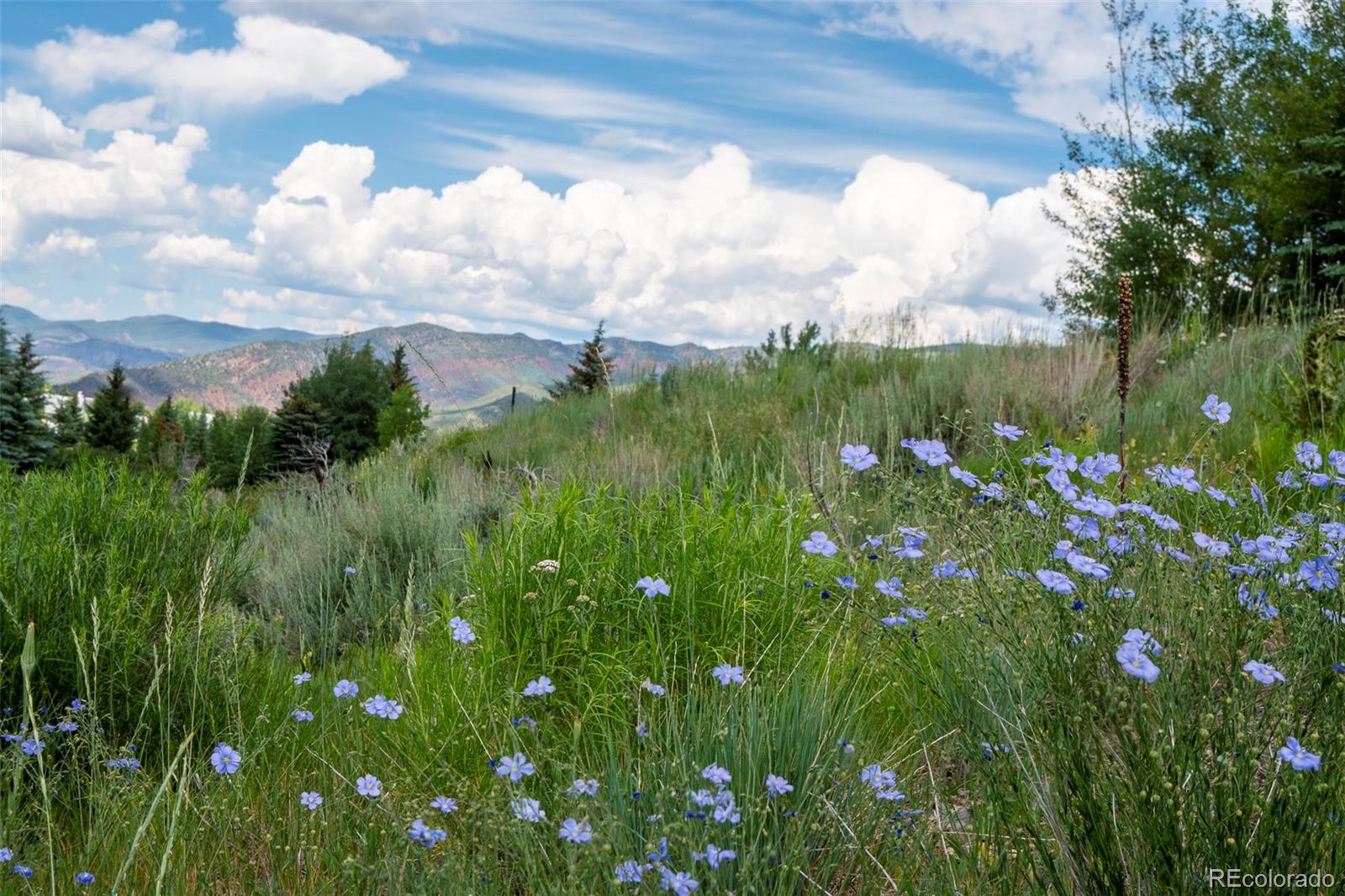 273 Granada Hill Road Edwards, CO 81632 - Photo 15 of 23 Gallery Image 15