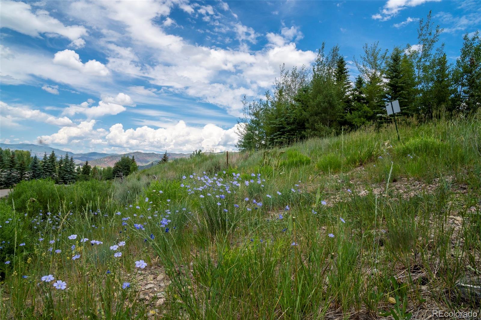 273 Granada Hill Road Edwards, CO 81632 - Photo 16 of 23 Gallery Image 16