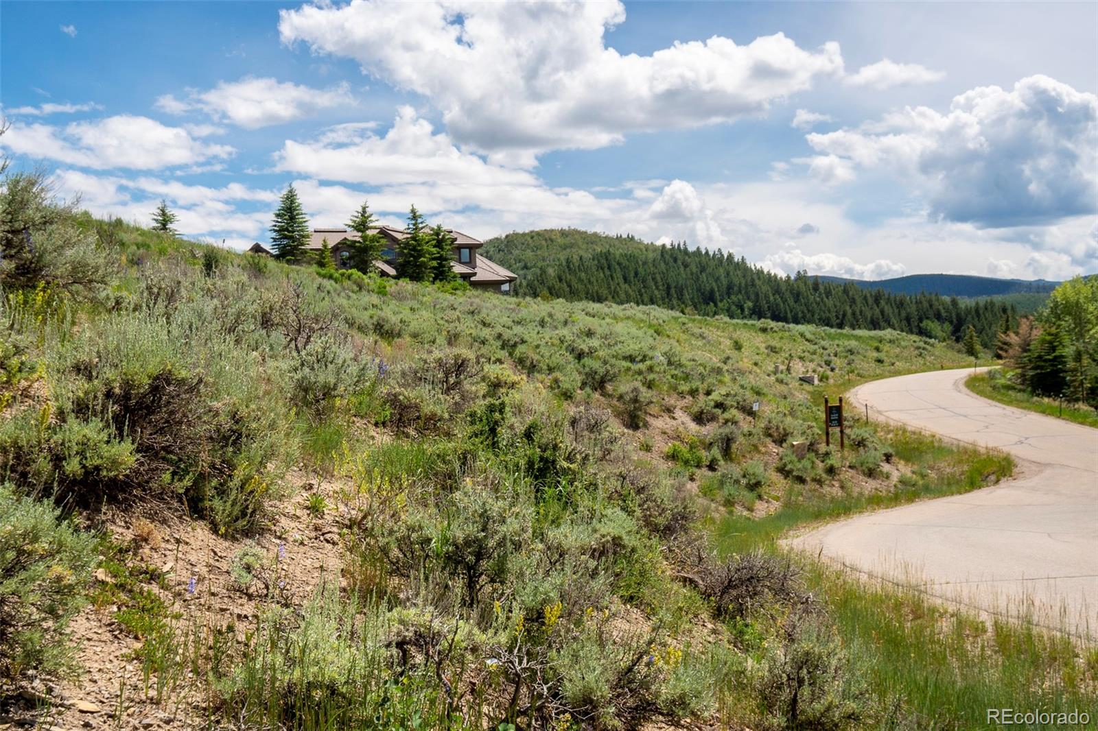 273 Granada Hill Road Edwards, CO 81632 - Photo 3 of 23 Gallery Image 3