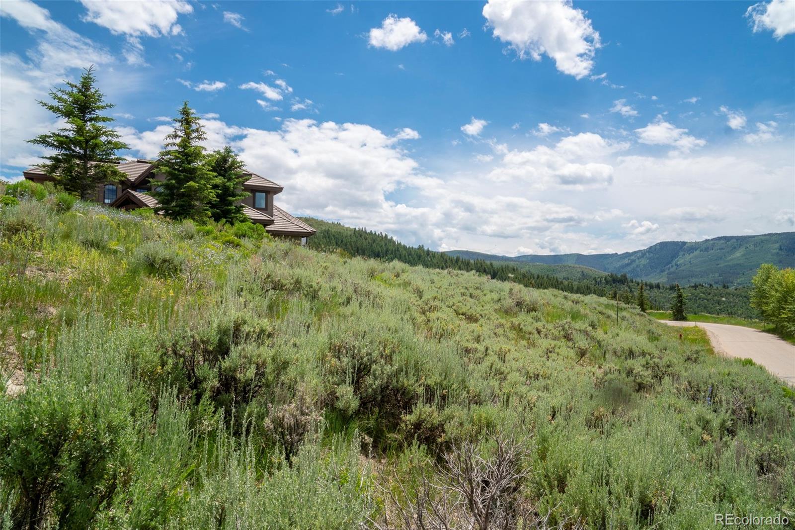 273 Granada Hill Road Edwards, CO 81632 - Photo 8 of 23 Gallery Image 8