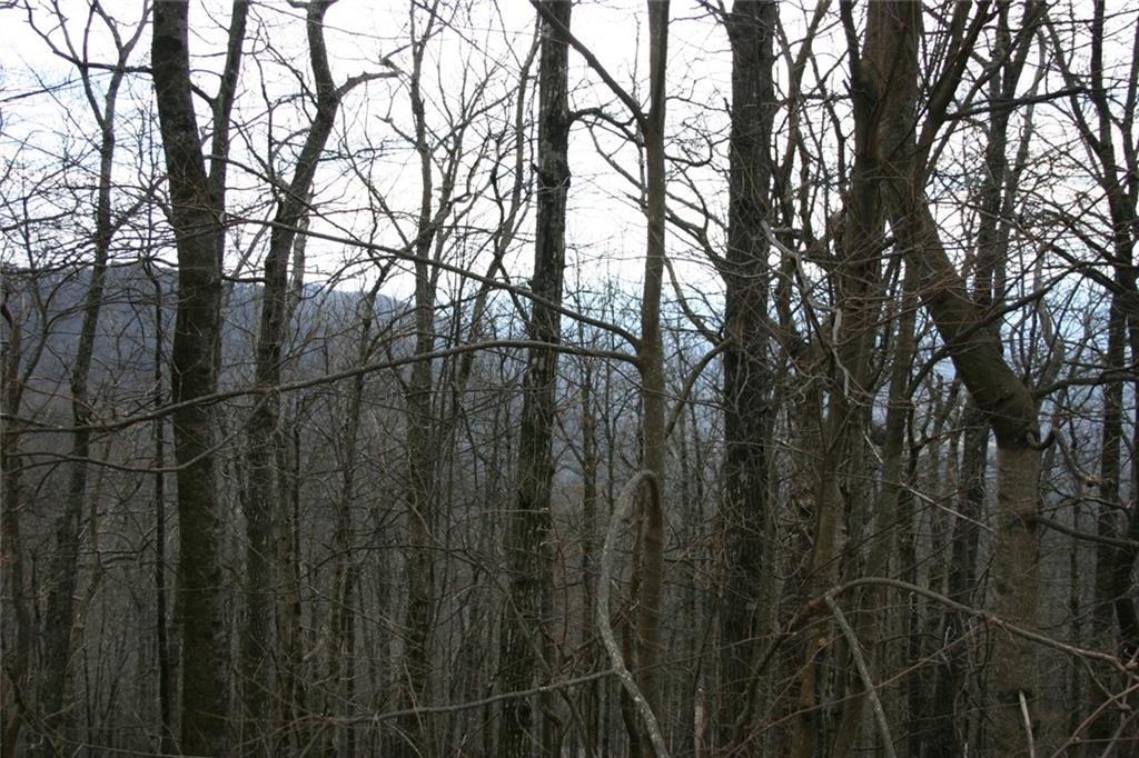 1849 Little Hendricks Mountain Road Jasper, GA 30143 - Photo 1 of 1 Gallery Image 1