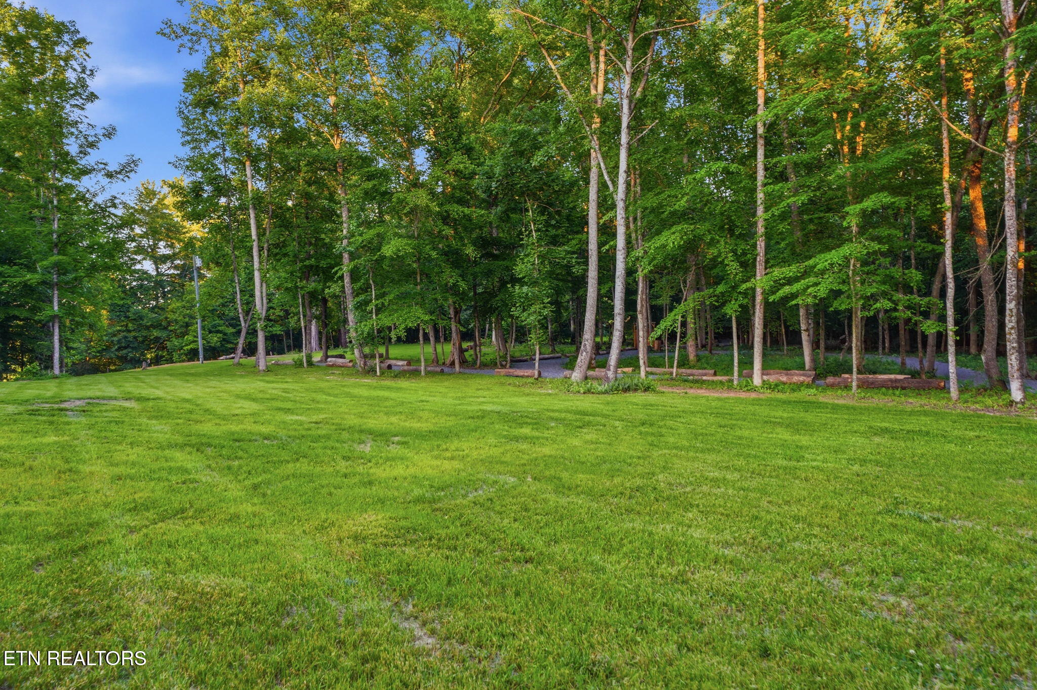 383 Tva Road South Bristol, TN 37620 - Photo 23 of 50 IMG_0869