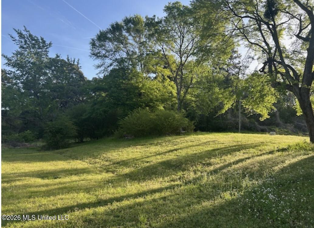 5970 Fogg Road South Hernando, MS 38632 - Photo 2 of 4 IMG_0692