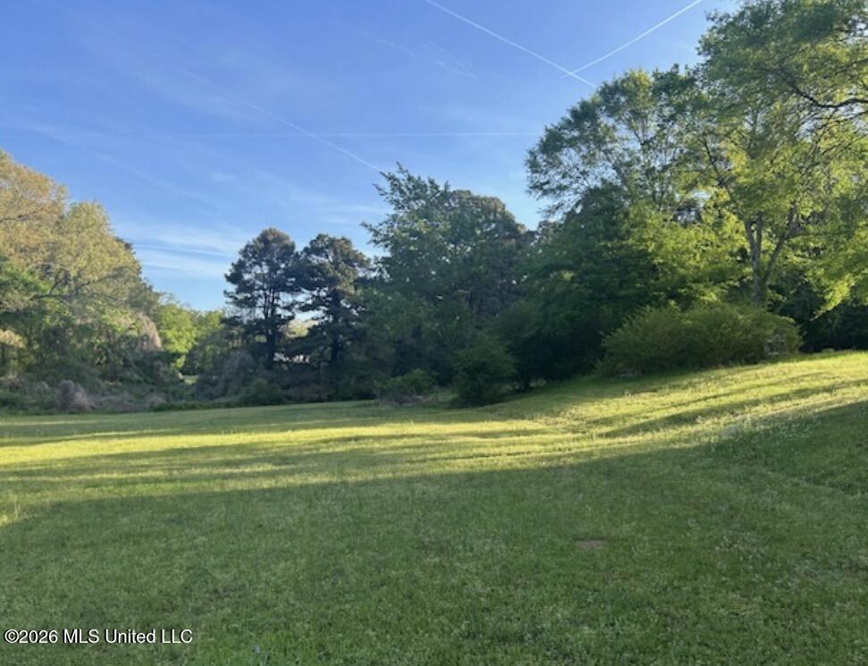 5970 Fogg Road South Hernando, MS 38632 - Photo 3 of 4 IMG_0693