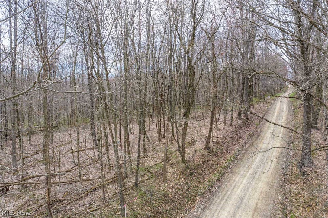 Clary Road Kimbolton, OH 43749 - Photo 2 of 29
