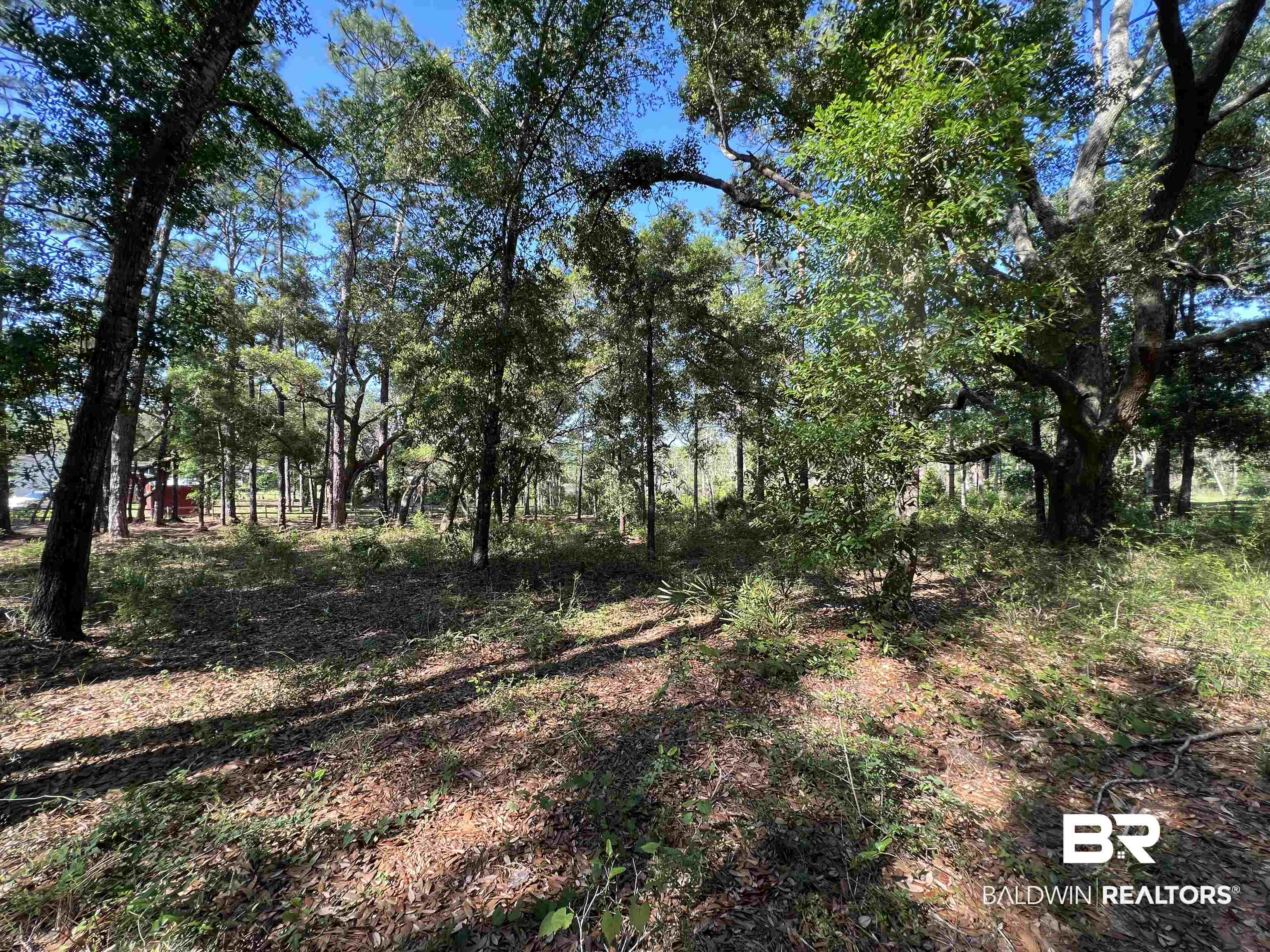 9545 North Bayou Road Lillian, AL 36549 - Photo 10 of 34 View of nature