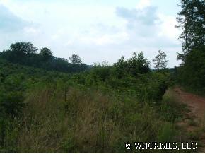 0 Hipp Road Rutherfordton, NC 28139 - Photo 1 of 1 a view of a field