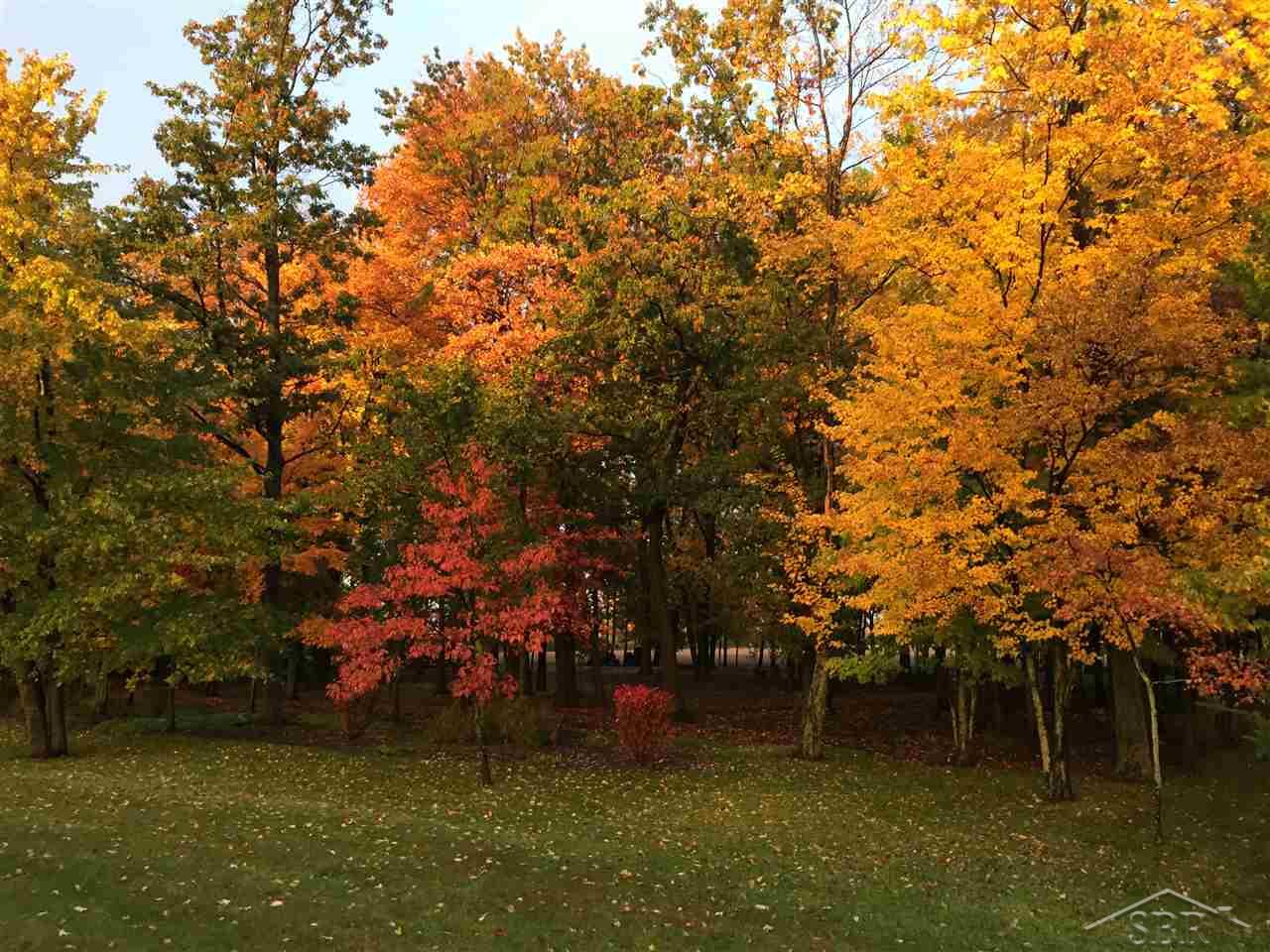 1742 Pierce Road Saginaw, MI 48604 - Photo 80 of 84