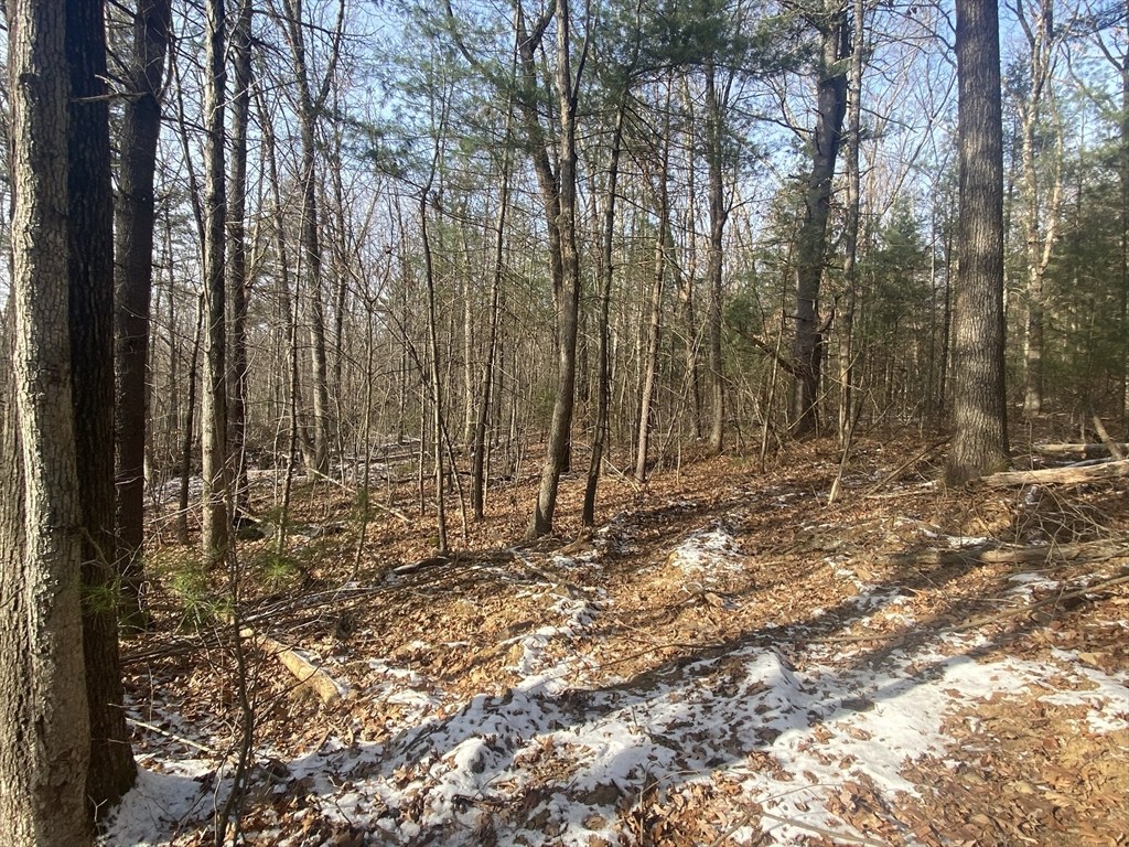 121-lt12 Sturbridge Road Brimfield, MA 01010 - Photo 10 of 13