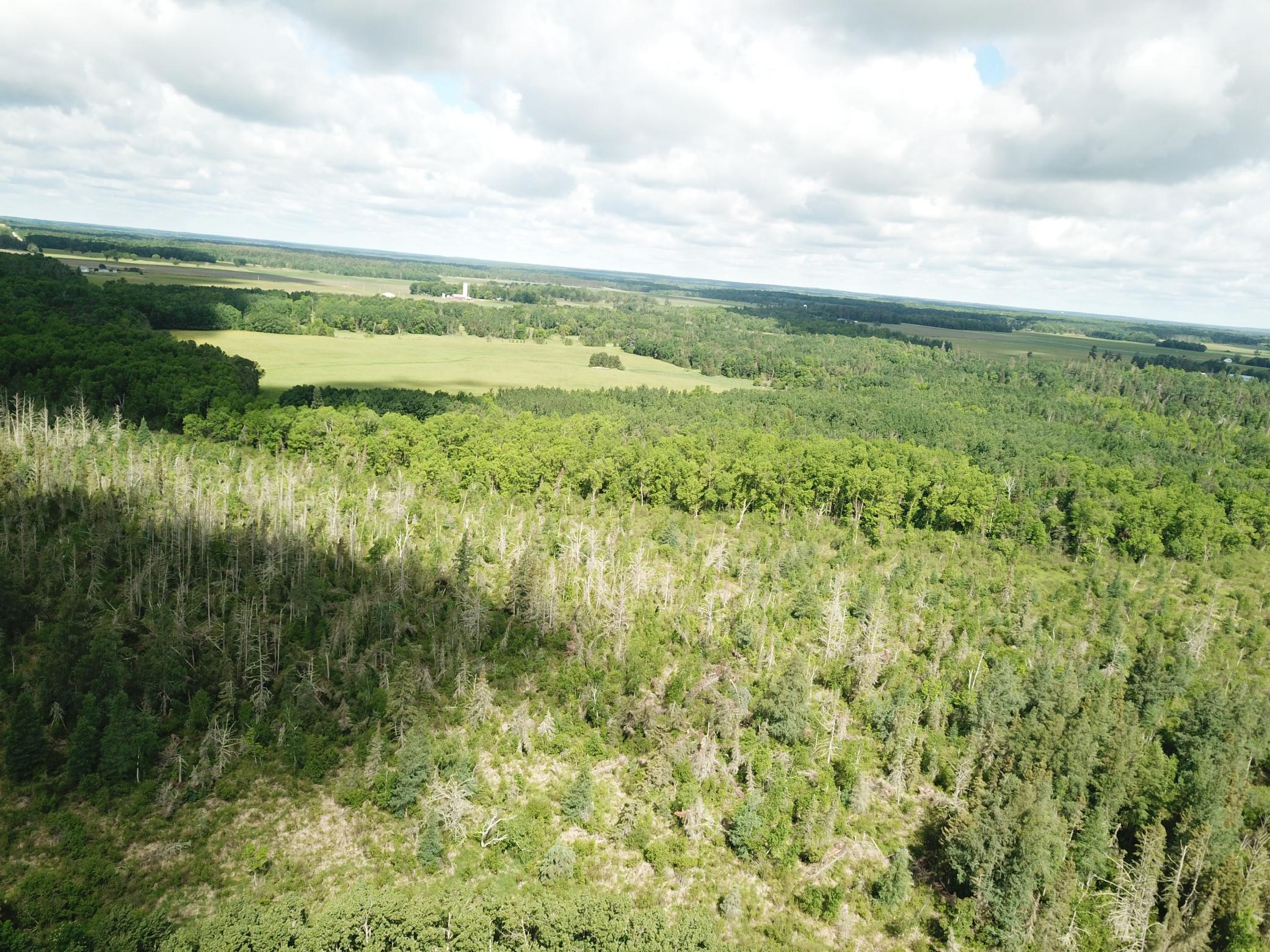 Tbd1 Mud Lake Road Bagley, MN 56621 - Photo 7 of 31