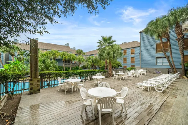 front view of a bunch of flowers