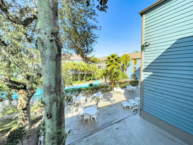 a swimming pool view with plants and large trees