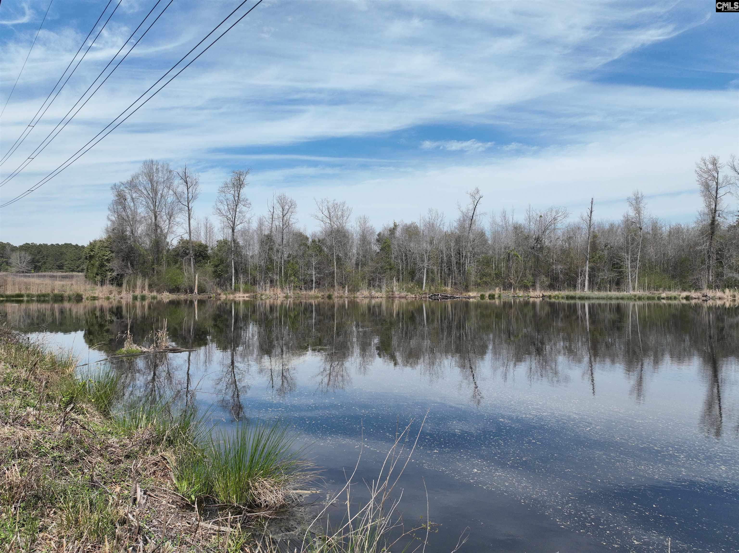 0 Dr Boylston Road Salley, SC 29137 - Photo 18 of 41