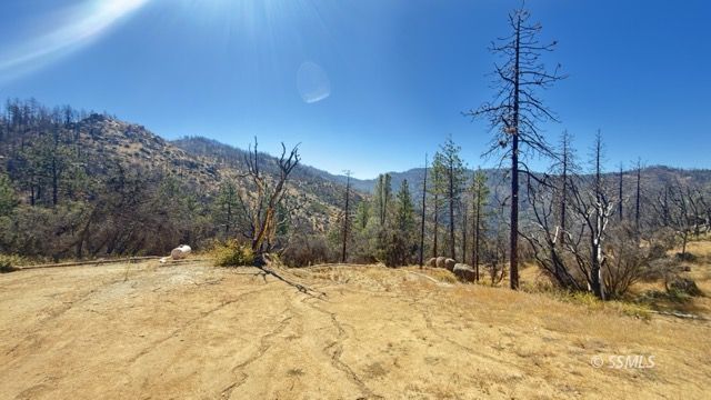 4351 Saddle Springs Road Caliente, CA 93518 - Photo 8 of 15 Gallery Image 8