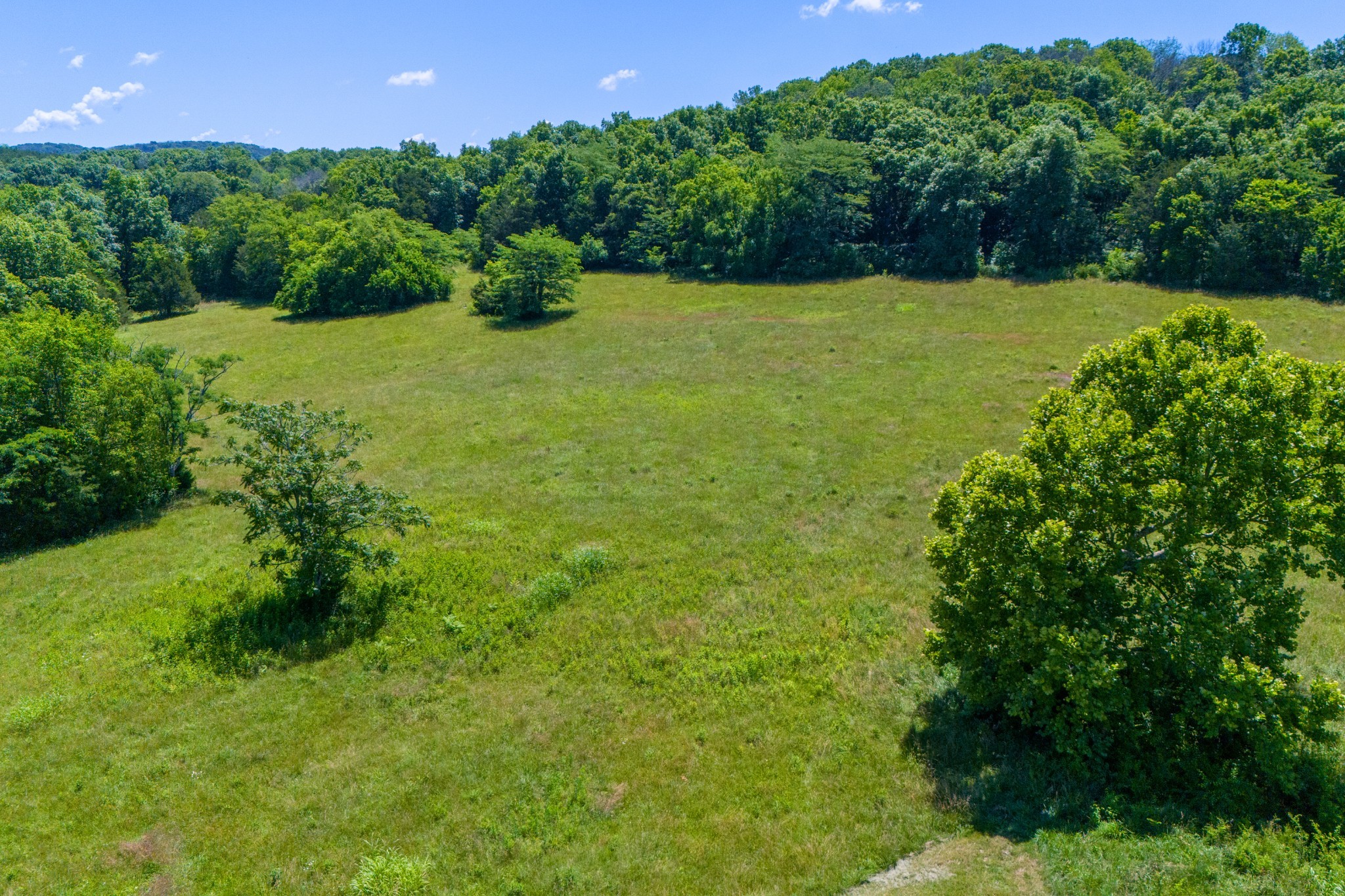 792 Tassey Road Readyville, TN 37149 - Photo 53 of 58 Gallery Image 53