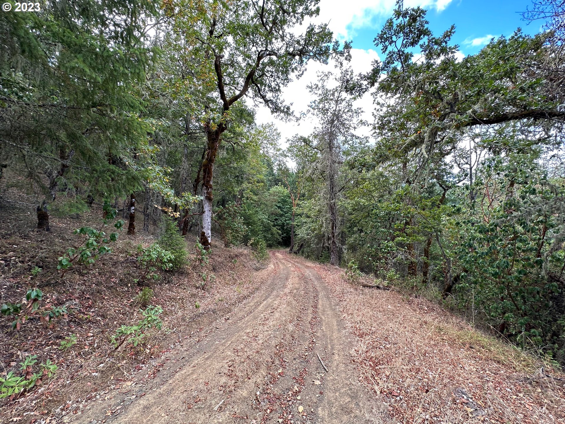 400 Decarlo Lane Riddle, OR 97469 - Photo 13 of 18 a view of a forest with trees in the background