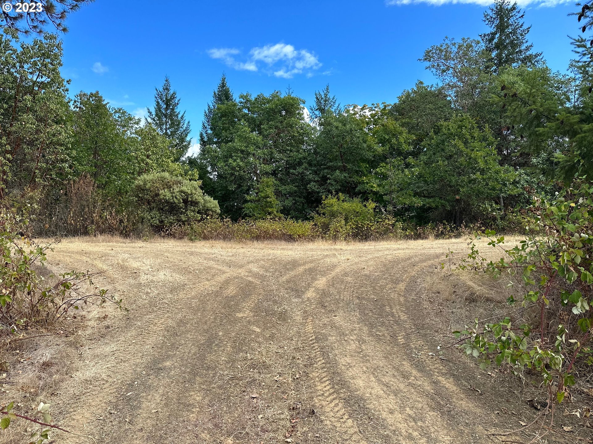 400 Decarlo Lane Riddle, OR 97469 - Photo 15 of 18 a view of a yard covered with trees