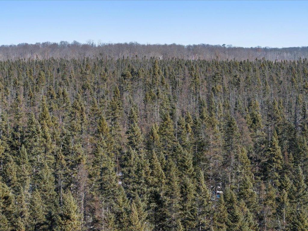 Tbd 30th Avenue Mora, MN 55051 - Photo 4 of 20