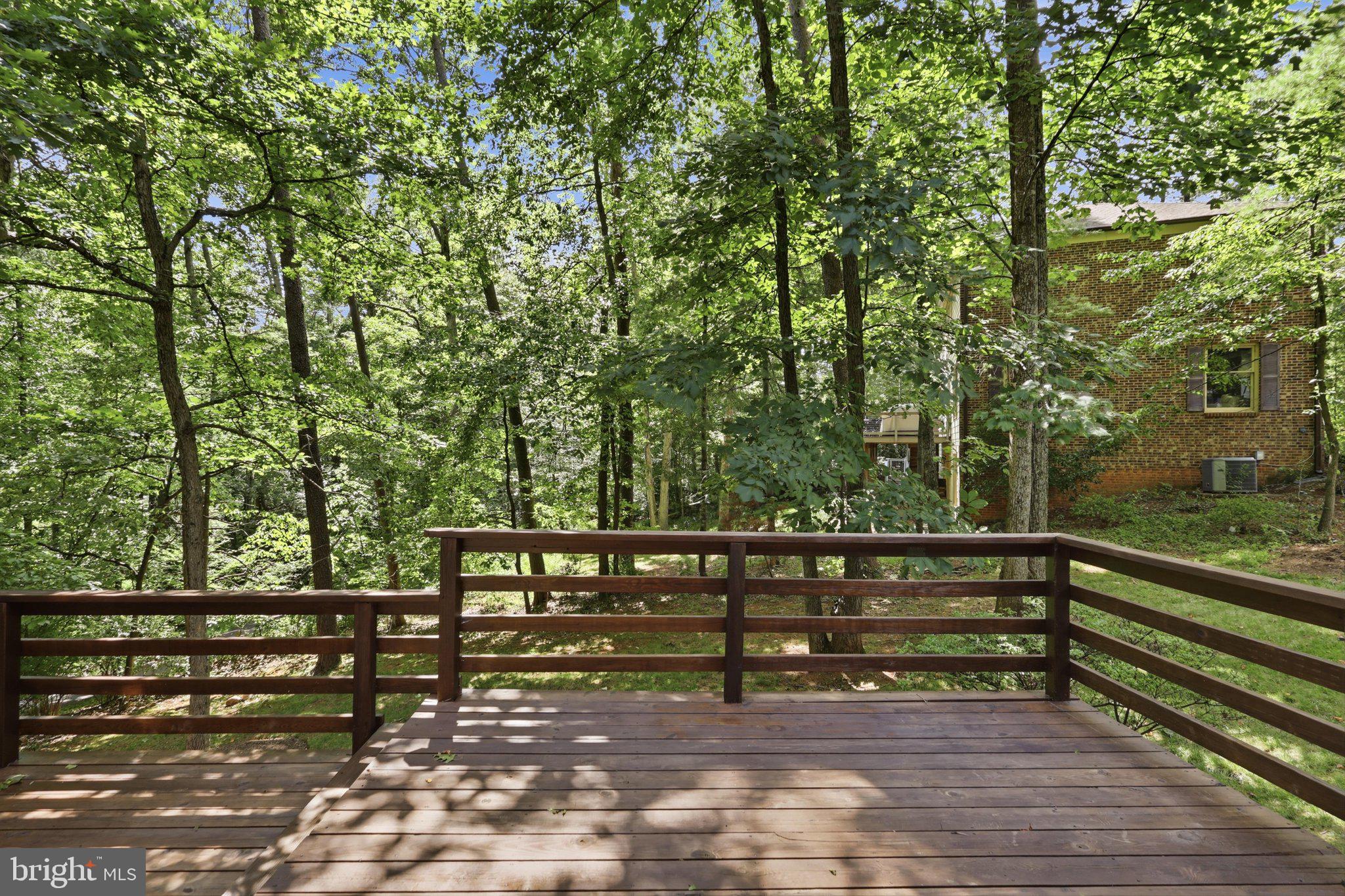 10811 Midsummer Drive Reston, VA 20191 - Photo 32 of 46 Treed yard