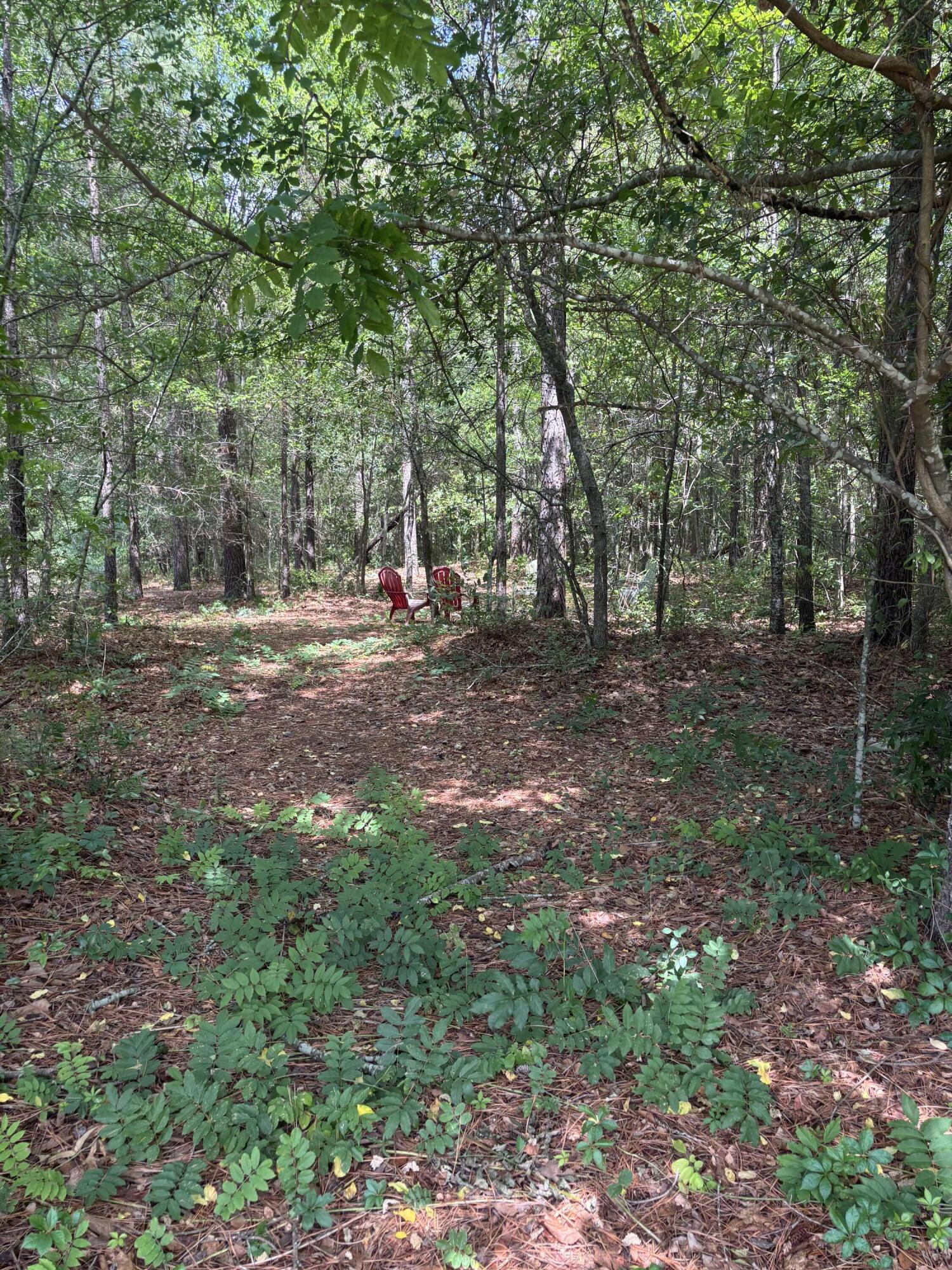 630 Adger Lane Sumter, SC 29154 - Photo 79 of 85 IMG_8132