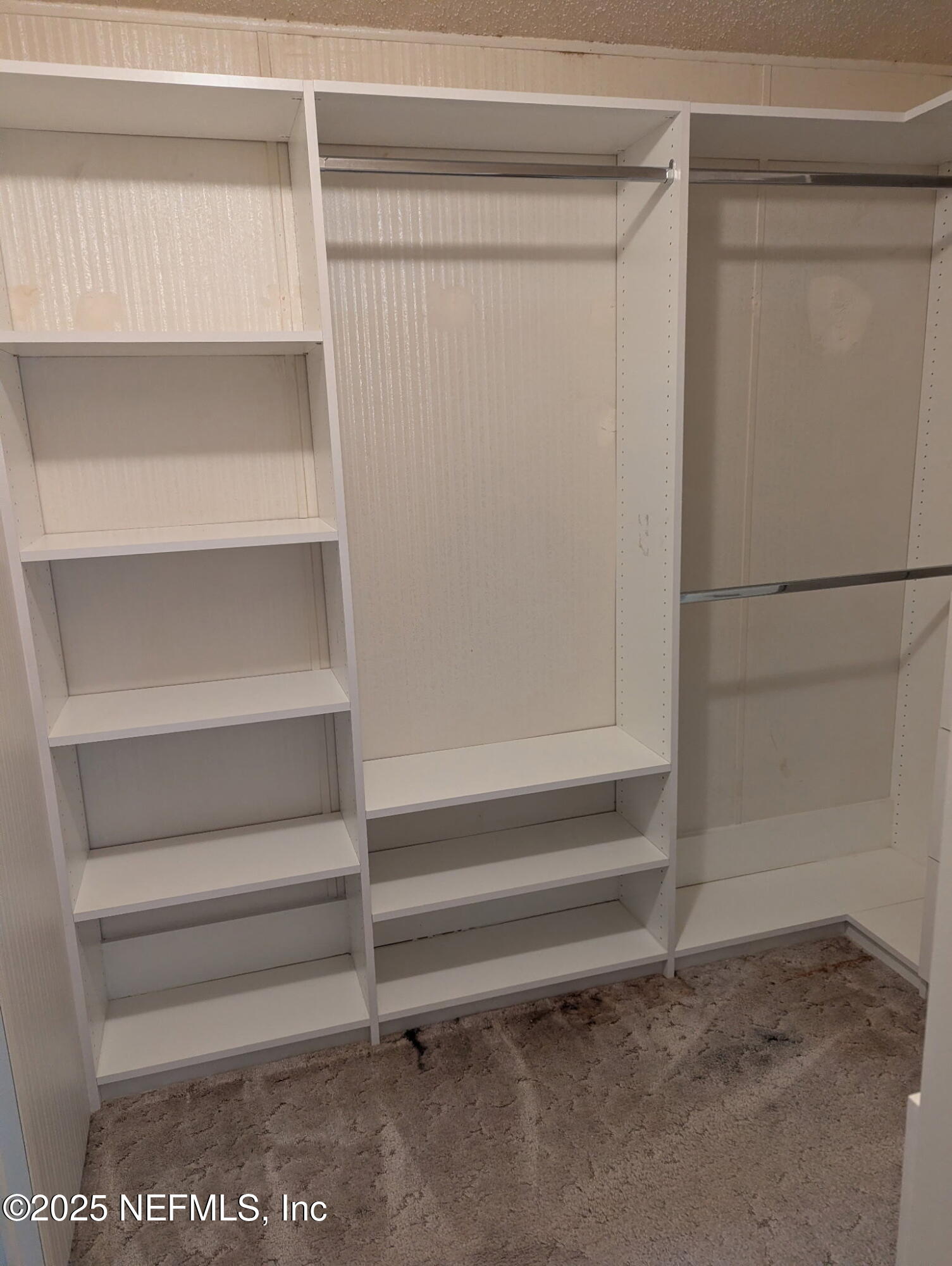 4667 Peppergrass Street Middleburg, FL 32068 - Photo 12 of 14 a view of walk in closet with empty racks