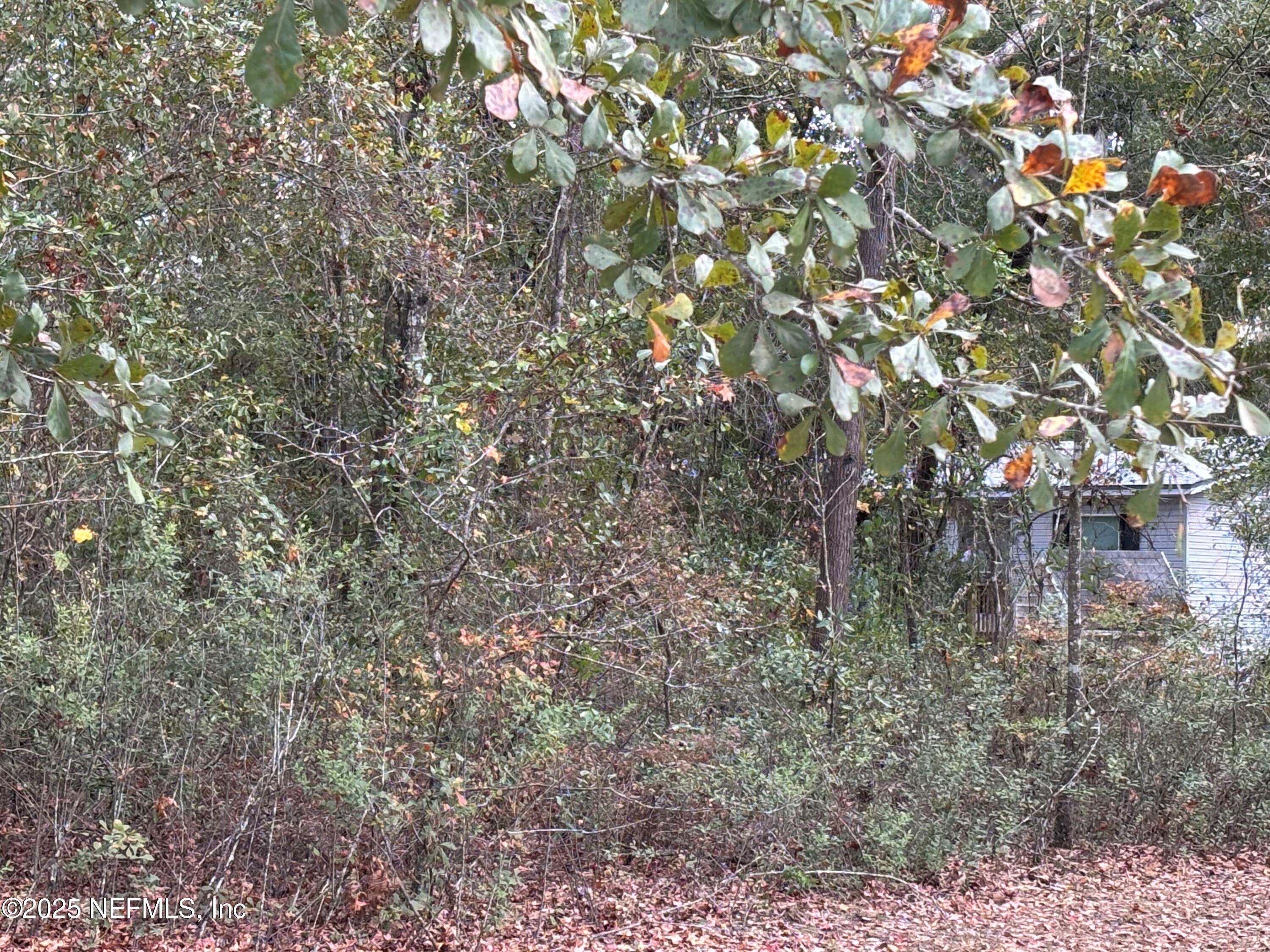 4667 Peppergrass Street Middleburg, FL 32068 - Photo 3 of 14 a view of a house with a tree