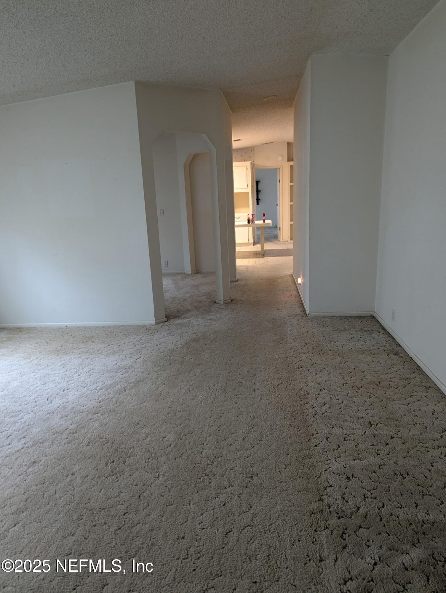 4667 Peppergrass Street Middleburg, FL 32068 - Photo 9 of 14 Living Area