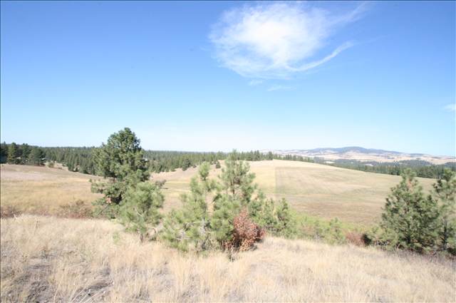 0 Stentz Road, Unit LOT 6 Spangle, WA 99031 - Photo 2 of 5