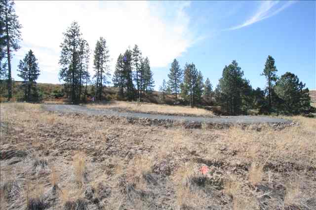 0 Stentz Road, Unit LOT 6 Spangle, WA 99031 - Photo 3 of 5