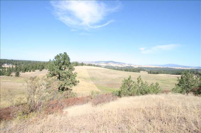 0 Stentz Road, Unit LOT 6 Spangle, WA 99031 - Photo 4 of 5