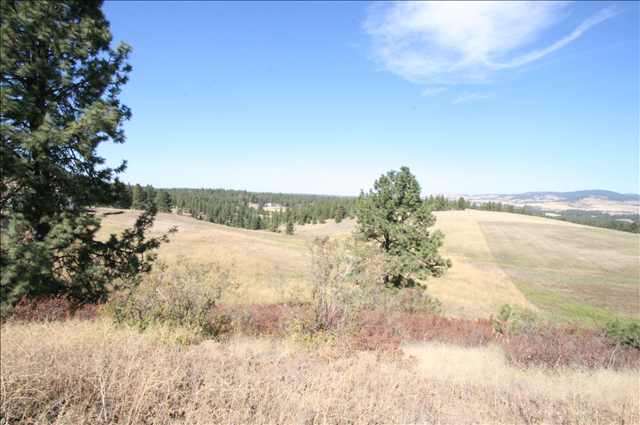 0 Stentz Road, Unit LOT 6 Spangle, WA 99031 - Photo 5 of 5