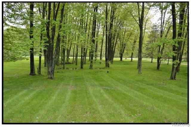 4605 Hessen Road Casco, MI 48064 - Photo 11 of 23 Lot View from Front