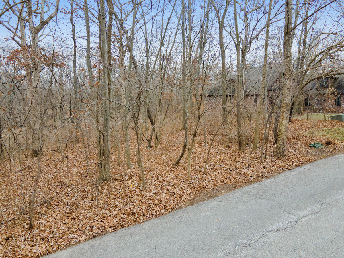 7 Turtle Point Monticello, IL 61856 - Photo 12 of 16 a view of a backyard of the house