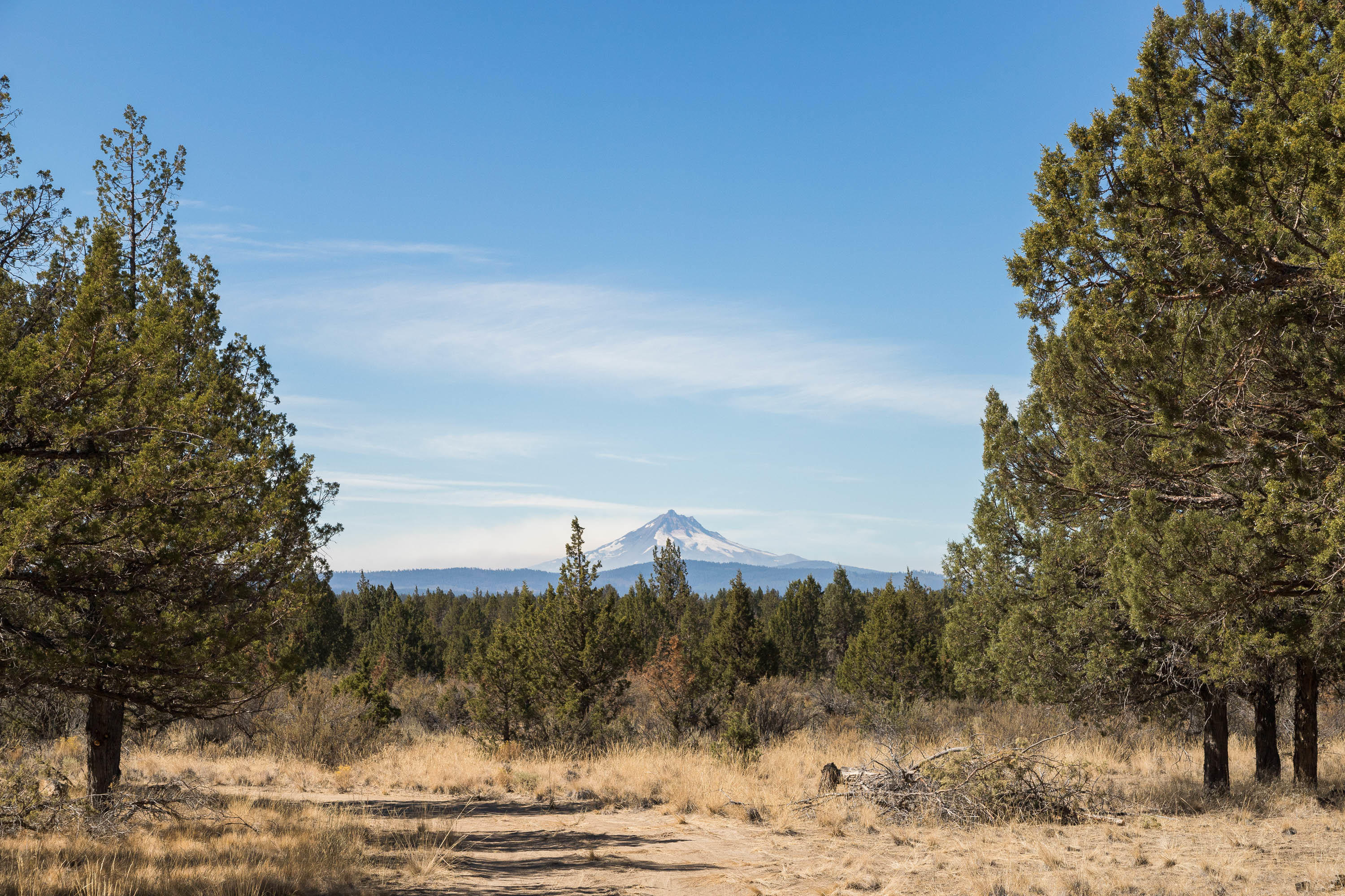 11651 Southwest Geneva Road Culver, OR 97734 - Photo 5 of 23 #5 11651 SW Geneva View (7 of 28)