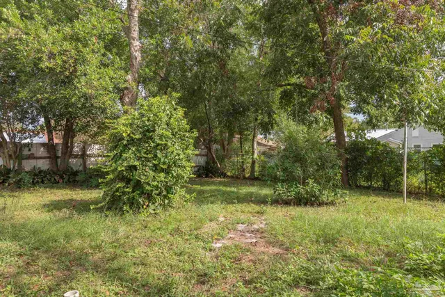 a backyard of a house with potted plants and large tree