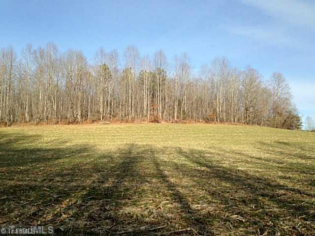 1344 Falcon Road East Bend, NC 27018 - Photo 11 of 14 Land.