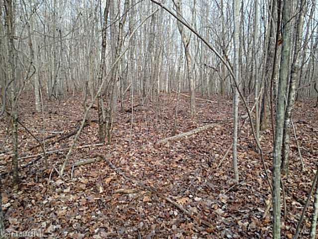 1344 Falcon Road East Bend, NC 27018 - Photo 12 of 14 Land.