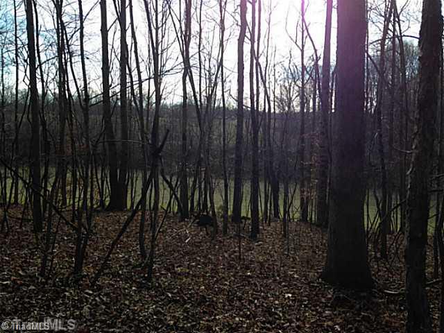 1344 Falcon Road East Bend, NC 27018 - Photo 13 of 14 Land.